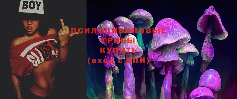 Галлюциногенные грибы Magic Shrooms Верхняя Салда